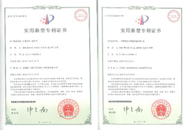 2015年實(shí)用專(zhuān)利